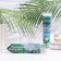 Tooth paste Forest Balm Total Complex with sea salt, mint and herbs, 75 ml