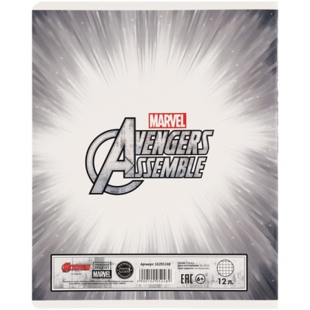 Notebook in a cage of 12 sheets, 5 types of mix, cover coated cardboard, avengers-3