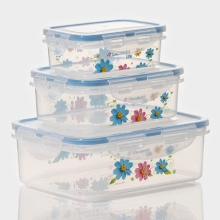 A set of lunch boxes of plastic rectangular "Polyanka", 3 pcs: 150 ml, 300 ml, 500 ml, color mix-5