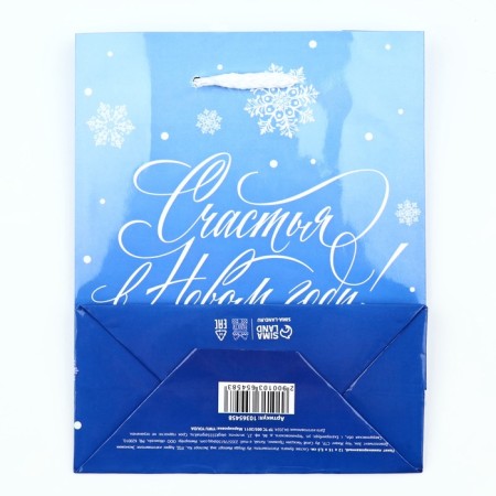 Package New Year's laminated “Happiness in the New Year”, S 12 x 15 x 5.5 cm-4