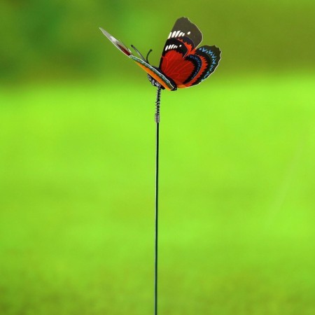 Plug "butterfly Delfius 25cm, set 6pcs, mix-2