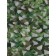Masking mesh, 4 × 3 m, single, light green, brown, Greengo