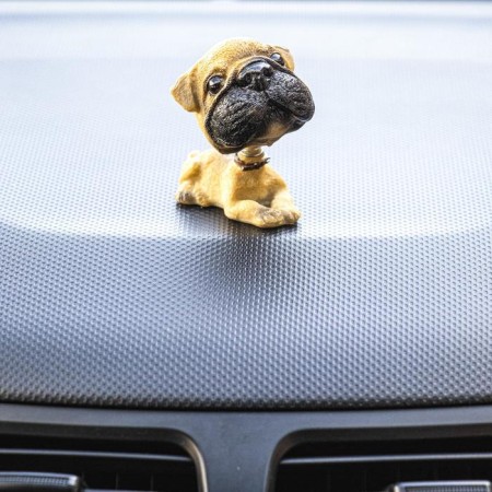 Dog on a car panel shocking his head, German dog
