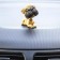 Dog on a car panel shocking his head, German dog