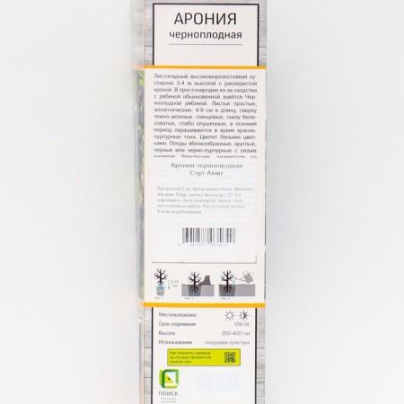 Aronia of Chernolod "Amit", 1 pc, tube, spring 2025-1