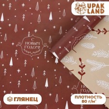Paper packaging glossy bilateral 
