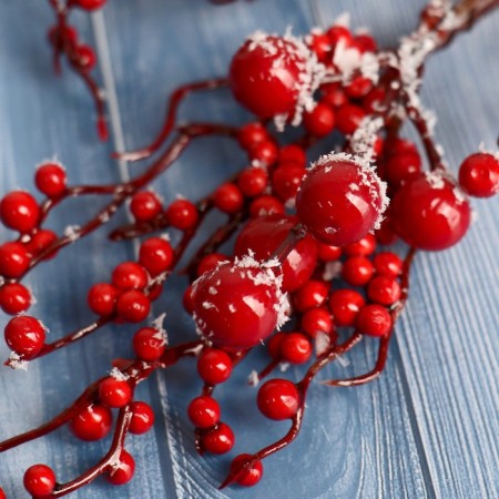 Decor "Winter charm" frozen berries, 25 cm-1