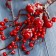 Decor "Winter charm" frozen berries, 25 cm