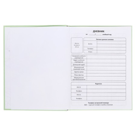 Diary of a solid cover 1-11 grade 48 sheets, "Magic Bank", cover cardboard 7BC, matte lamination, selective UV-lame, cheat sheet-4