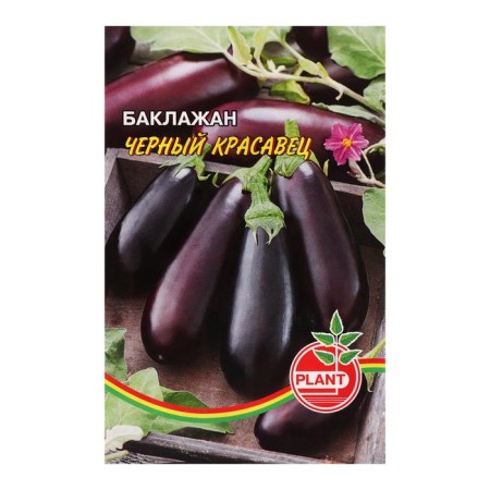 Eggplant seeds "Black handsome" Plant mid -season, compact, without bitterness-2