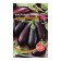 Eggplant seeds "Black handsome" Plant mid -season, compact, without bitterness