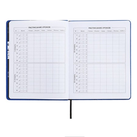 School diary for grades 1-11 Prividies, hard cover, artificial leather, foil embossing, tin-rush, liesse, 48 sheets, universal cheat sheet, block 80g/m2-6