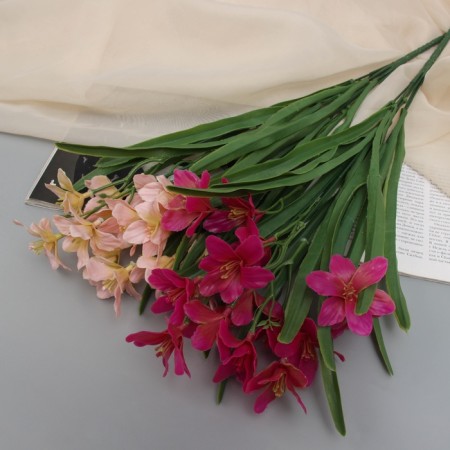 Букет "Хоста грация" 43 см, микс-3