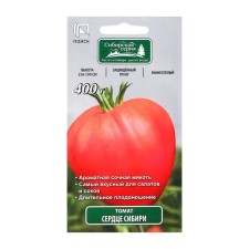 Seed Tomat 