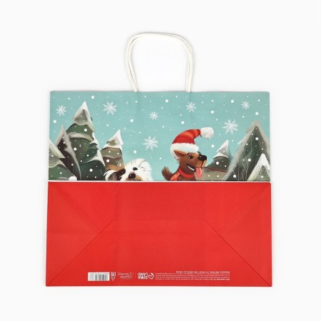 Package Gift New Year's craft "Fairytale New Year", 28 x 15 x 32 cm, New Year-4