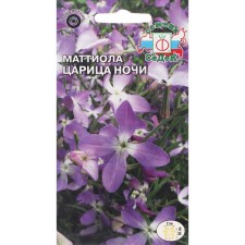 Flowers of Mattiol 