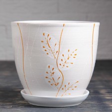 Flower acacia pots 2.5l with a stand