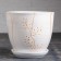 Flower acacia pots 2.5l with a stand