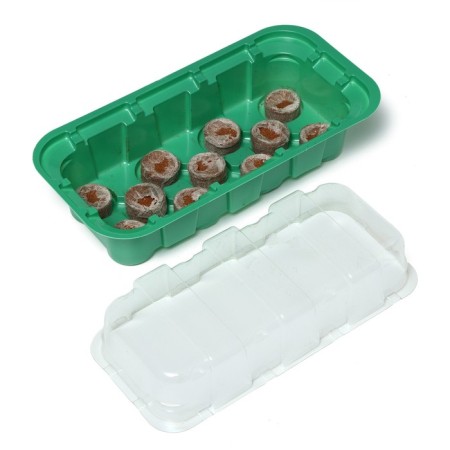 Mini-Pirate for seedlings: coconut tablet D = 3 cm (11 pcs.), Greenhouse 24 × 12 cm, jiffy-2