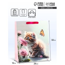 Package Gift Laminated Vertical 