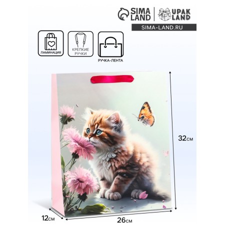 Package Gift Laminated Vertical "Cat and Flower", M 26 × 32 × 12 cm