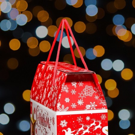 Gift Folding Box "Aurora" 23 x 10 x 33 cm-4