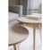 Brown table "Bax 550", 450 × 450 × 550 mm, the color of the powder