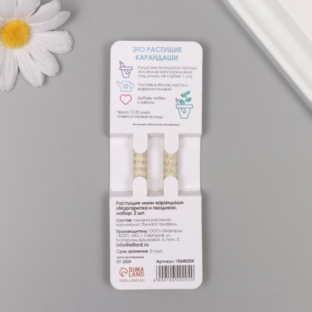 Growing gift pencils mini "Margarita + clove" set 2 pcs.-1