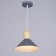 Lamp Bayerlux 2034833/1 E27 40W gray 22x22x21 cm