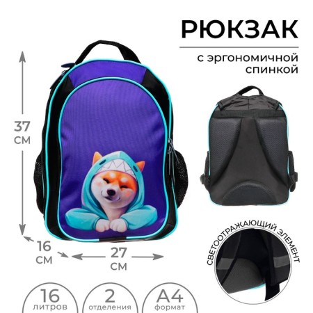 School backpack, 37 x 27 x 16 cm, ergonomic back, calligrata b "Siba"