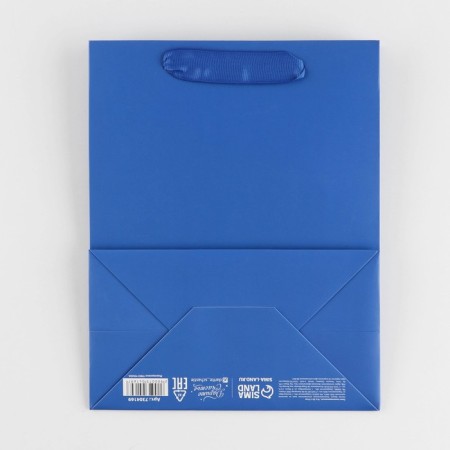 Gift Package Laminated, Packaging, Blue, MS 18 x 23 x 10 cm-3