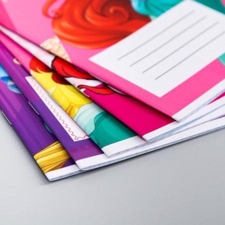 Notebook in a cage 12 sheets, 5 types of mix, cover coated cardboard, princesses-8
