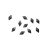 Rhombus