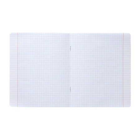 Notebook of 48 sheets in a cage on a bastard "Noble birds", matte lamination, 3D foil, mix-1