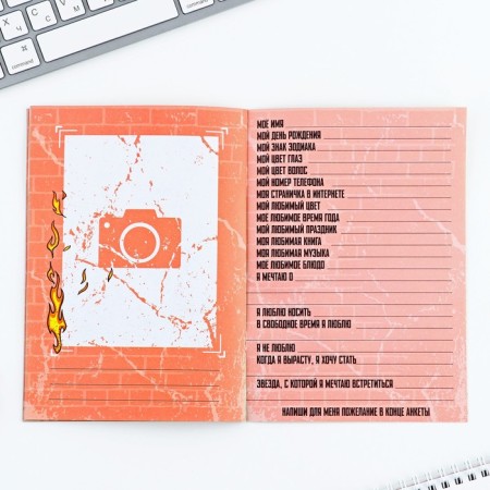 Profile for boys A5, 16 liters "Cat by plane"-6