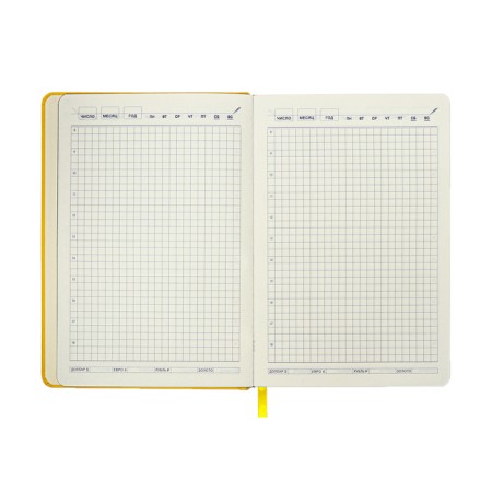 Leduced Diary A5, 140l, Cage, leatherette, elastic band, black cut, yellow-11