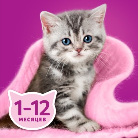 WHENSHIC FORNKAS for kittens, stroke of the lamb, 75 g-8