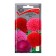 Flowers of Astra Jvelaster Mix, 0.3gr
