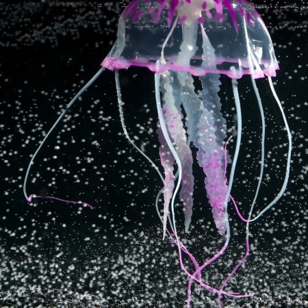 Decor for the Aquarium "Medusa" Silicone, with a neon effect, 10 x 10 x 20.5 cm, purple 71088-2