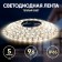 LED era tape, 5 m, IP65, SMD2835, 120 LED/m, 9.6 W/m, 12 V, glow warm white