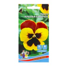 Viola Flowers 