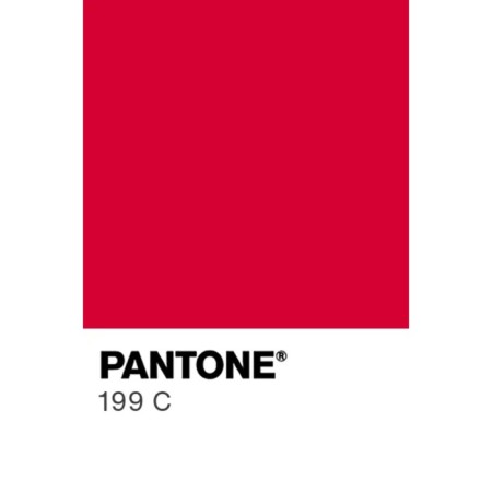 Acrylic matte paint in a 75 ml Calligrata, KM004 scarlet, Panton 199s-2
