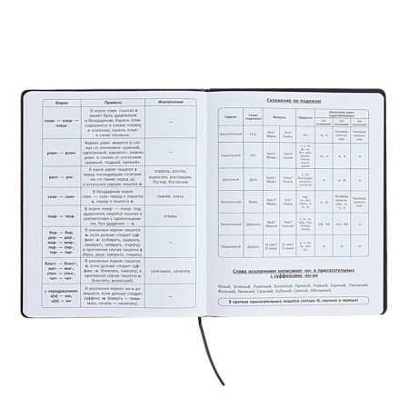 The universal diary for grades 1-11 is "anime", a solid cover made of artificial leather, application, lies, 48 ​​sheets, blue-10
