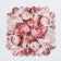 Cookie box, confectionery packaging with PVC lid, My Best Wishes, 21 x 21 x 3 cm
