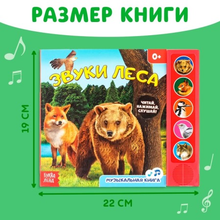 Музыкальная книга «Звуки леса», 10 стр.-1