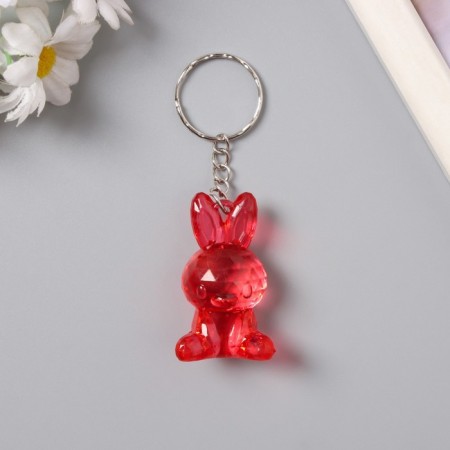 Acryl keychain "Bunny Crystal" mix 4.5x2.5x2 cm-1