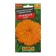 Flower seeds velvet "orange snow" erect, o, 0.1 g