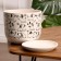 Pot Flower Dog White Book No. 3, 2.9 L, D - 19 cm