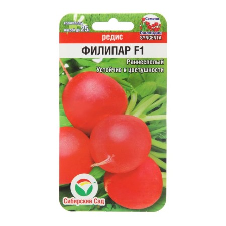 Seeds Radis "Filipar" F1 60pcs