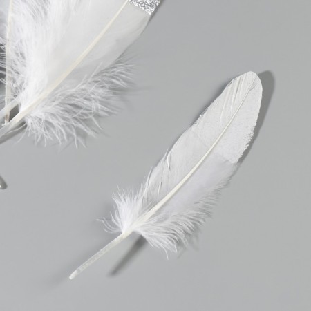 A set of goose feathers 15-20 cm, 10 pcs, white with silver chips-3